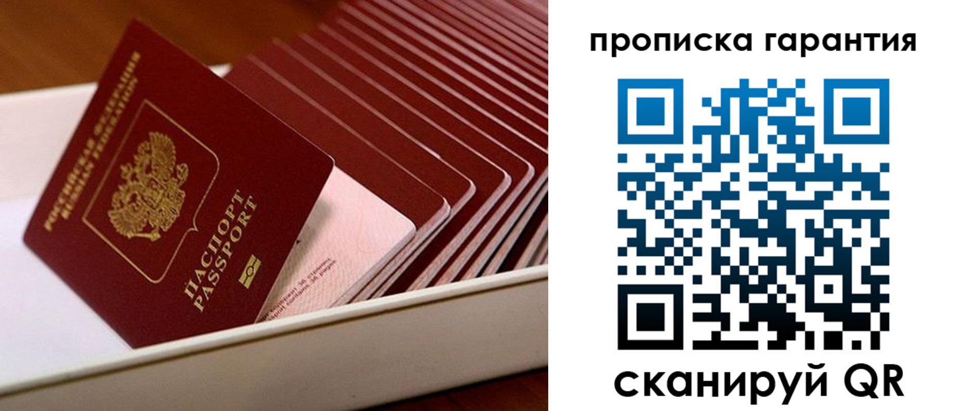 прописка поиск в Каргате